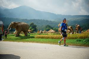 BIB: 
                            <button type="button" onclick="openModal(22434920)" class="btn btn-primary btn-sm float-right btn-popup" data-toggle="modal" data-target=".modal-high-quality">
                        <i class="fas fa-shopping-cart"></i> Add to Cart
                    </button>
                                            <button type="button" onclick="isThisMe(22434920, true)" class="btn btn-success btn-sm float-right btn-popup btn-isme hidden" data-toggle="tooltip" data-placement="bottom" title="นี่คือรูปของคุณใช่ไหม คลิกที่นี่เพื่อเอาเข้าอัลบั้ม">
                        <i class="fas fa-plus"></i> Add to album
                    </button>
                    <button type="button" onclick="isThisMe(22434920, false)" class="btn btn-warning btn-sm float-right btn-popup btn-isnotme hidden">
                        <i class="fas fa-ban"></i> Remove from album
                    </button>